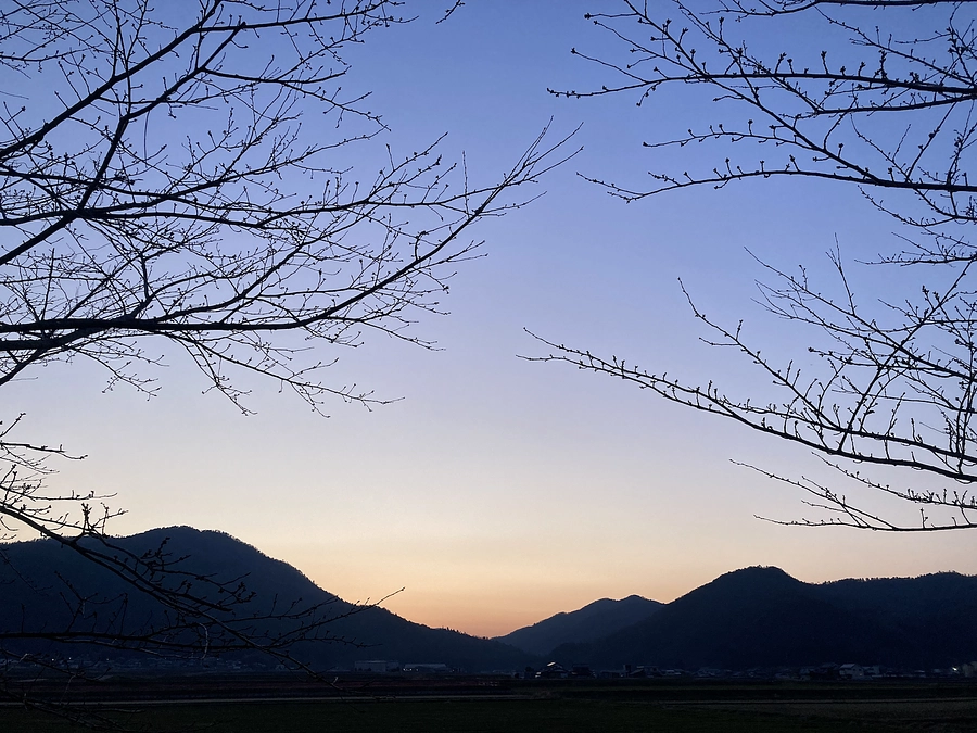 オープンスケジュールの変更と近況のご報告