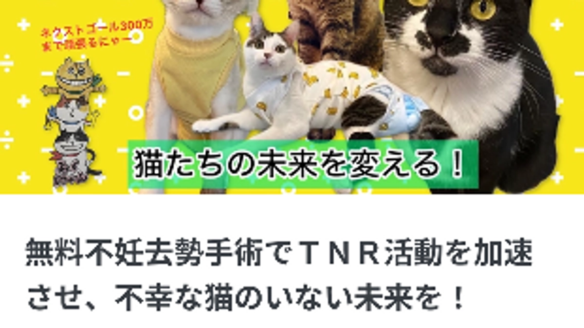 猫達の未来を変える！プロジェクト！