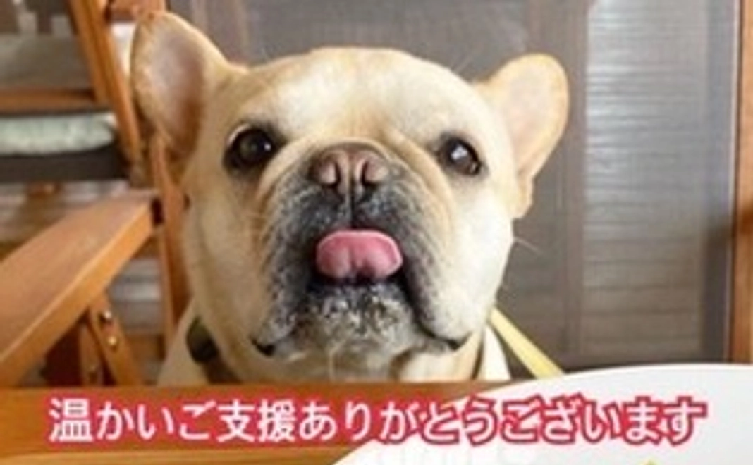 マッチョ応援コース①