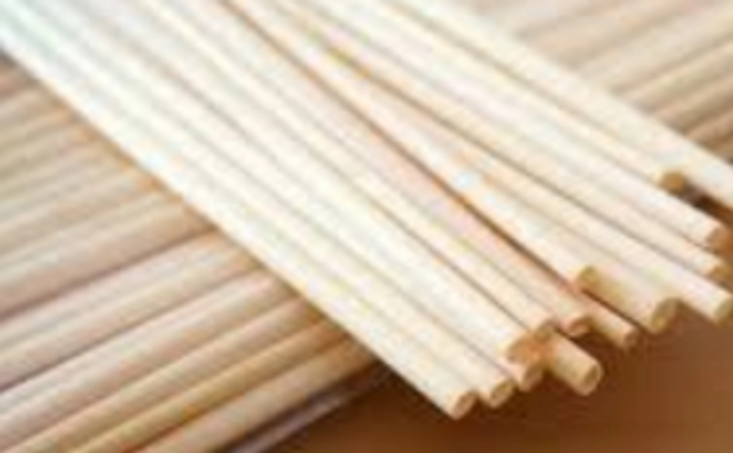 麦わらストロー10本セット