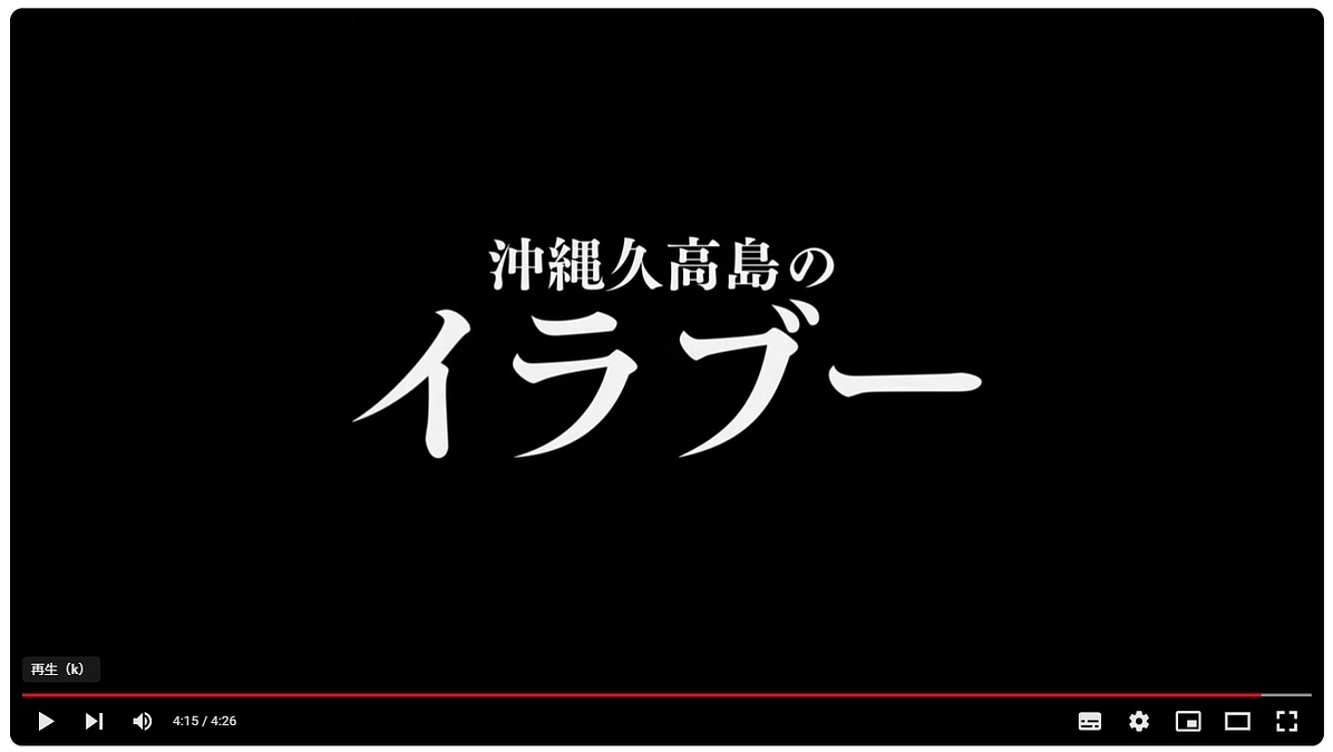 映画『沖縄久高島のイラブー』予告編（4:26）