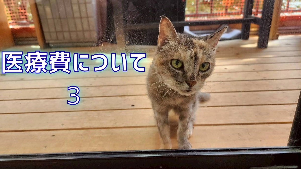 医療費について3