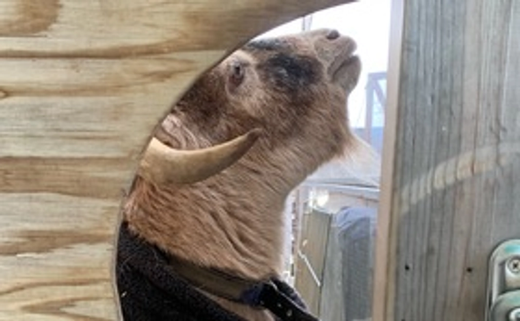 10,000円コース（お礼メール）