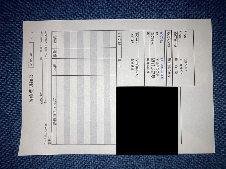 診療費でたので載せます
