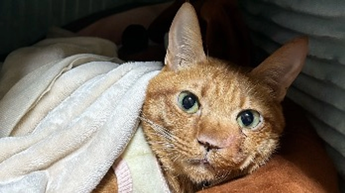 報告がおそくなりすみません