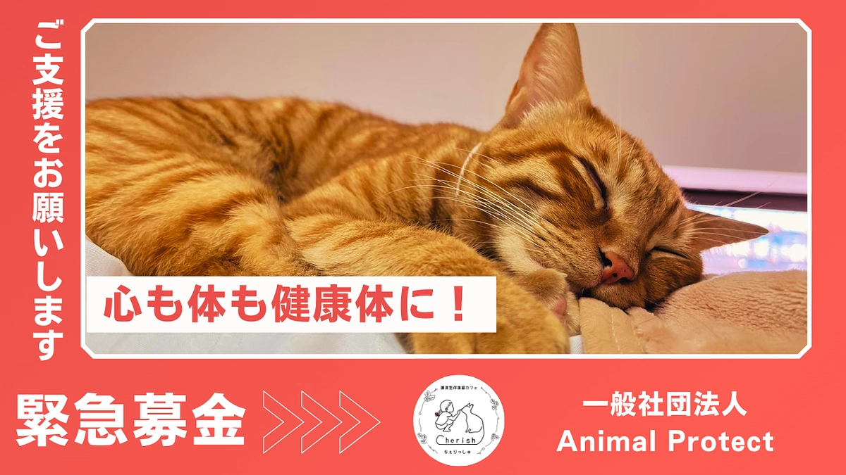 緊急ご支援のお願い