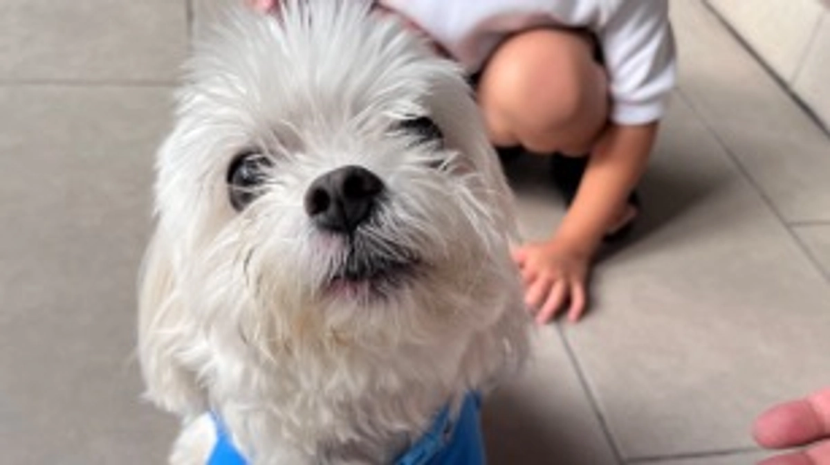 お散歩解禁になりました！