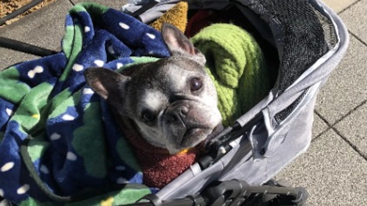 放射線治療後、久しぶりの病院