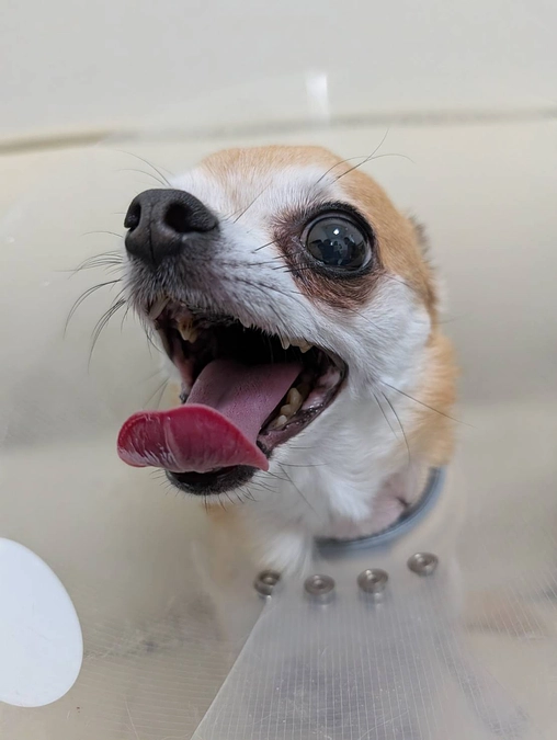 7/20　退院しました！