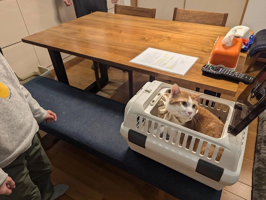 １月２９日は栗ごはんとのんたんのお届けでした♪