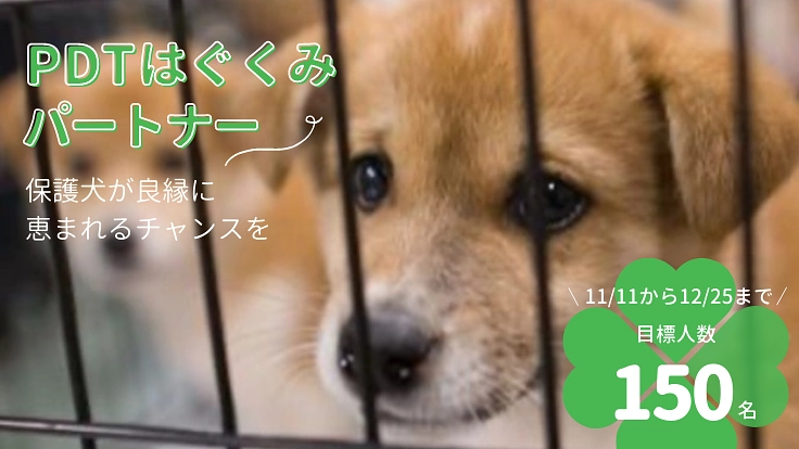 PDTはぐくみパートナー150名大募集！殺処分ゼロに向けて