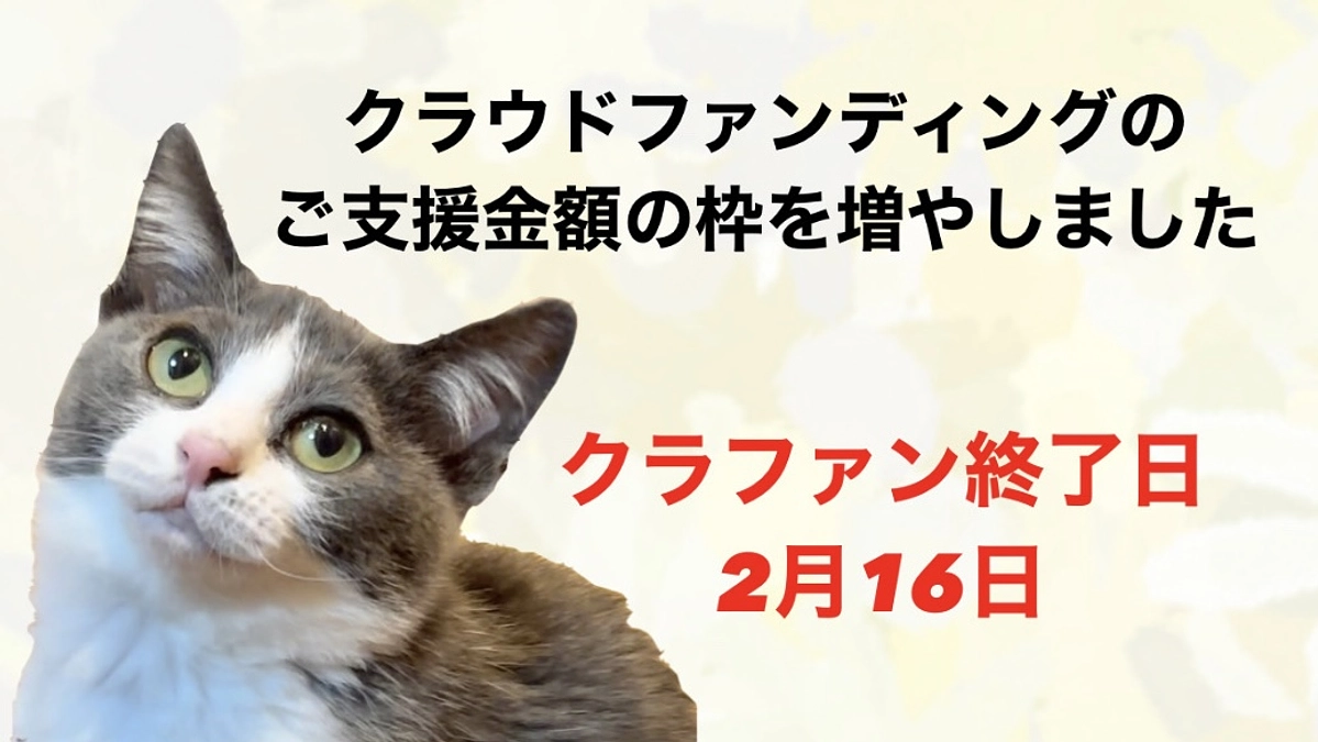 ご支援金額の枠を増やしました。