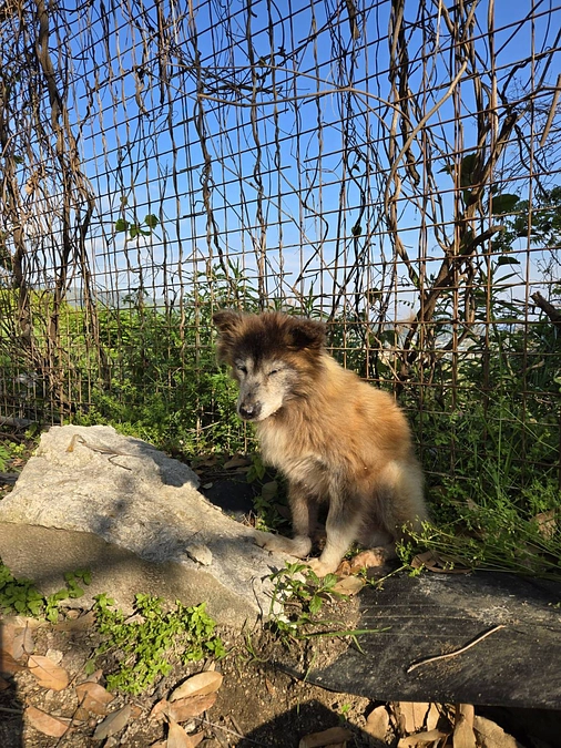 ここまで来れたのは皆様のおかげです、本当にありがとうございます。残りあと1時間ちょっとで終了です