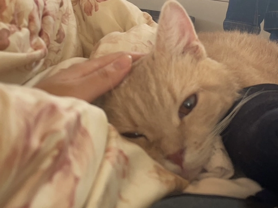 現在3名の方にご支援を頂くことができました