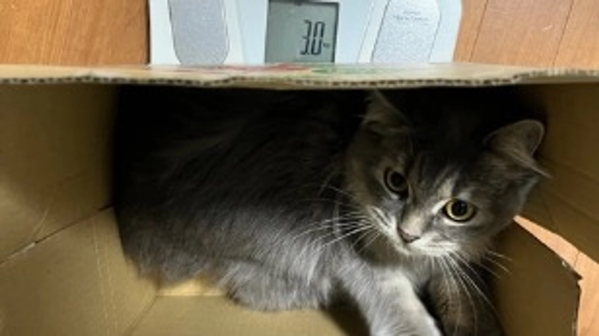 9/21  闘病25日目