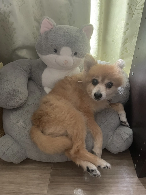 達成度9%残り2週間を切りました。