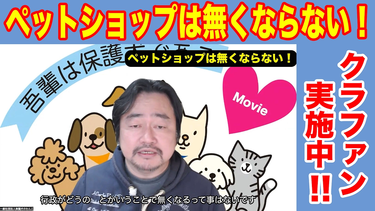 【劣勢ながらも奔走中！】代表巽から皆さまへ「ペットショップは無くならない！」〜保護わんのちょいコメ①