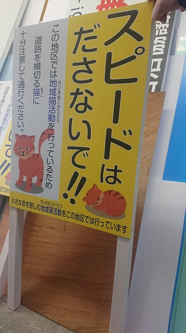 地域猫活動を始めたい‼　そんな地域のサポートも継続的に行っています。