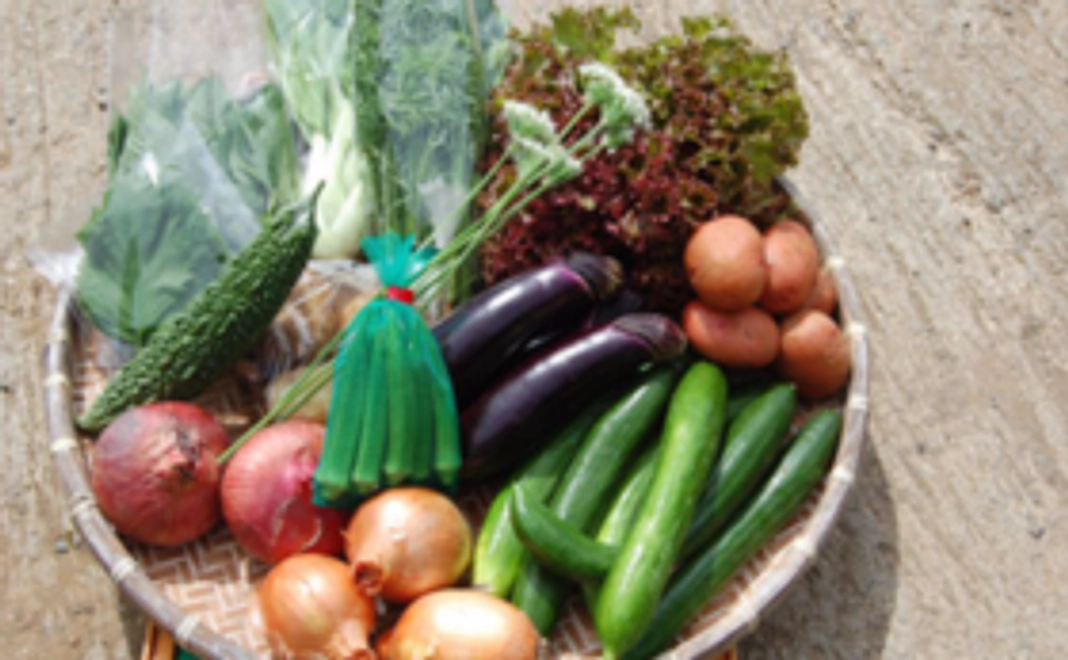 竹パウダーとお米と野菜セット