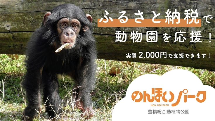 のんほいパーク｜チンパンジー運動場に新しいエンリッチメント施設を！