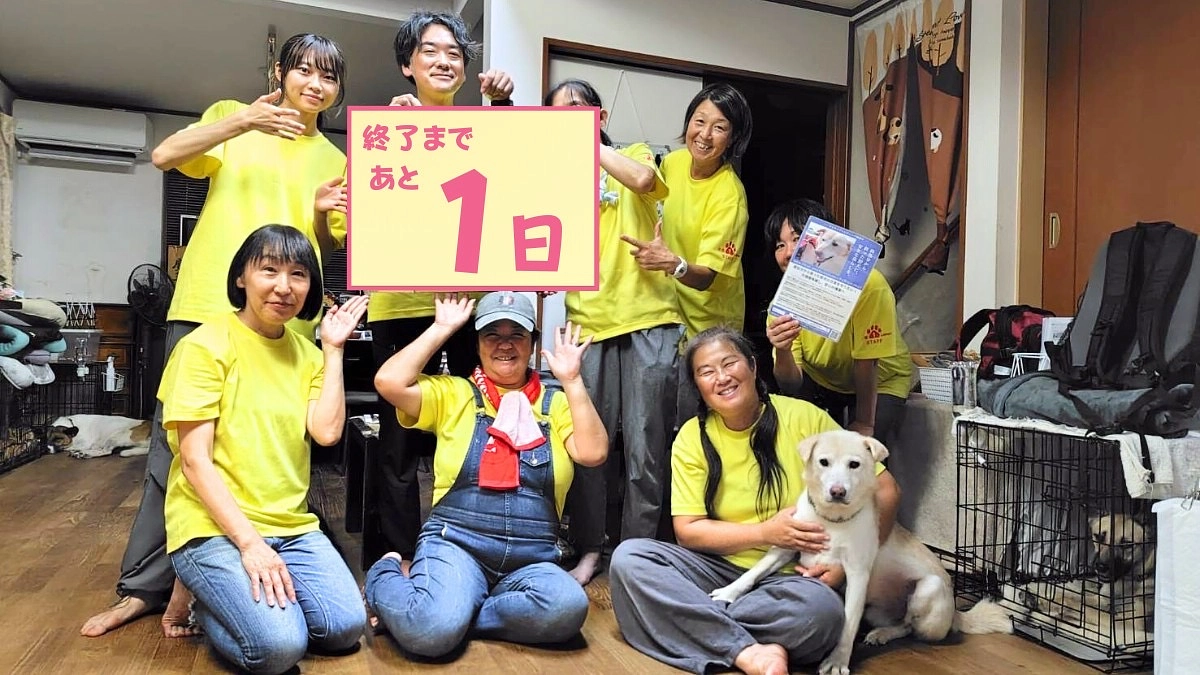 里親さまからのメッセージ　アルフレッドとケビンのご家族より