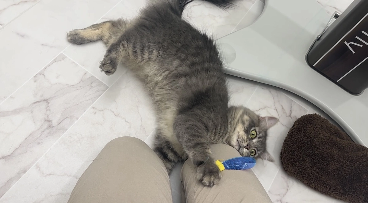 投薬25日目　たくさん動きました