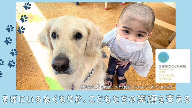 そばにいてくれたら。兵庫県立こども病院にファシリティドッグを！
