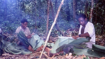 アフリカの森の民と語り合おう のトップ画像