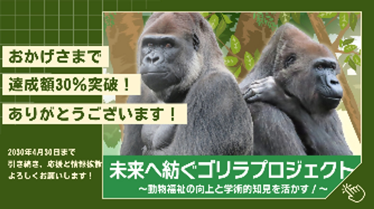 第一目標の30％を達成しました！