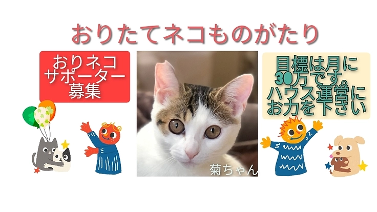 おりネコサポーター｜ハウスの維持と保護猫の医療にご支援を！