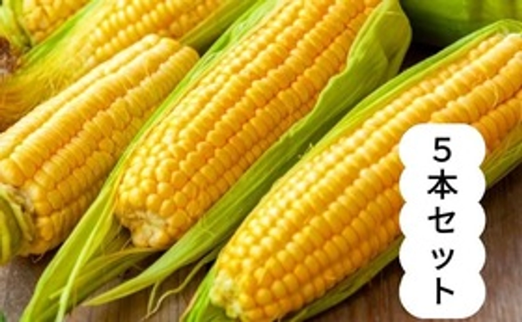 お届けコース（5本セット）