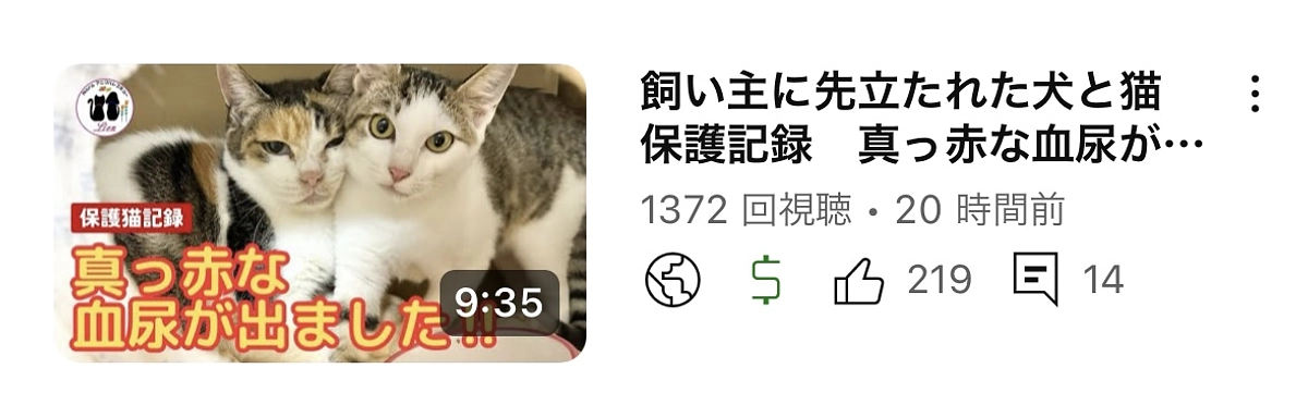 ひどい血尿が出ました