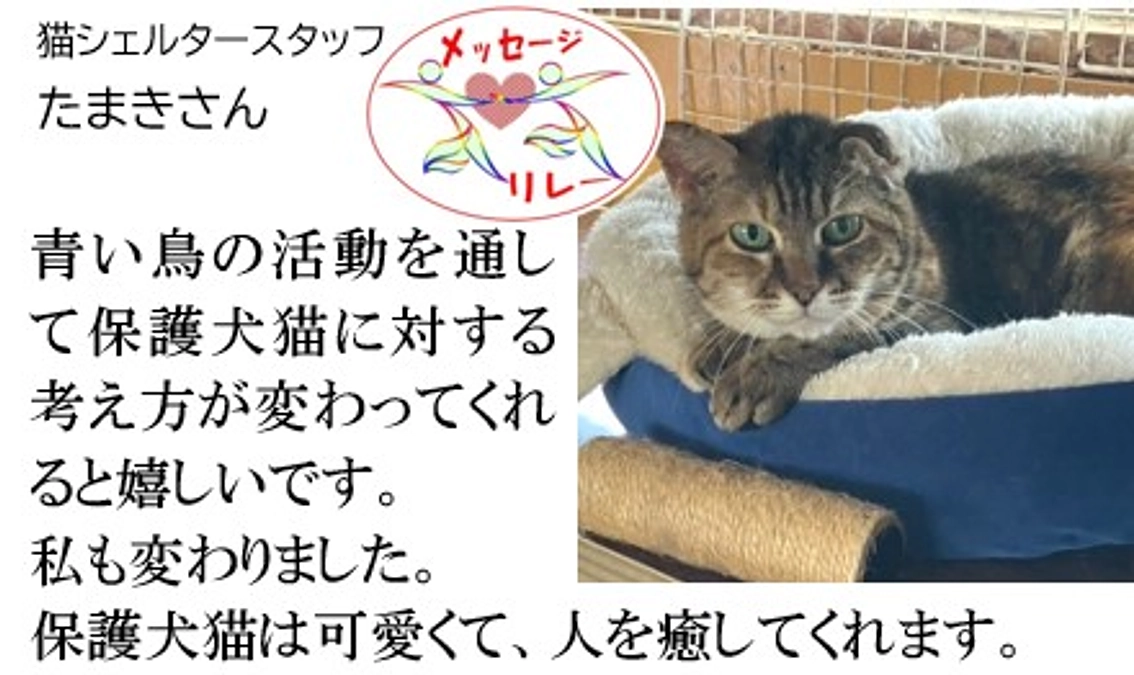 リレー５．青い鳥の活動を通して私も変わりました