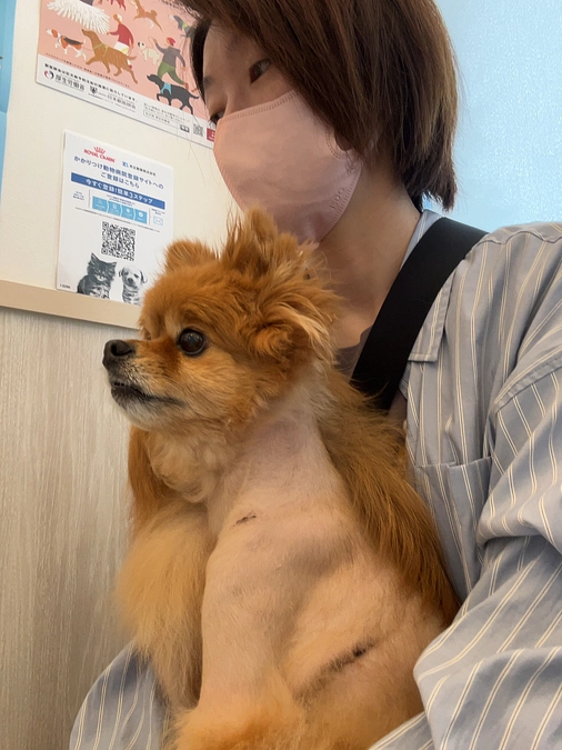 抜糸と検査を受けました