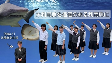 捨てられていたサメやエイを商品に変えて地域の漁業者を守りたい！！ のトップ画像