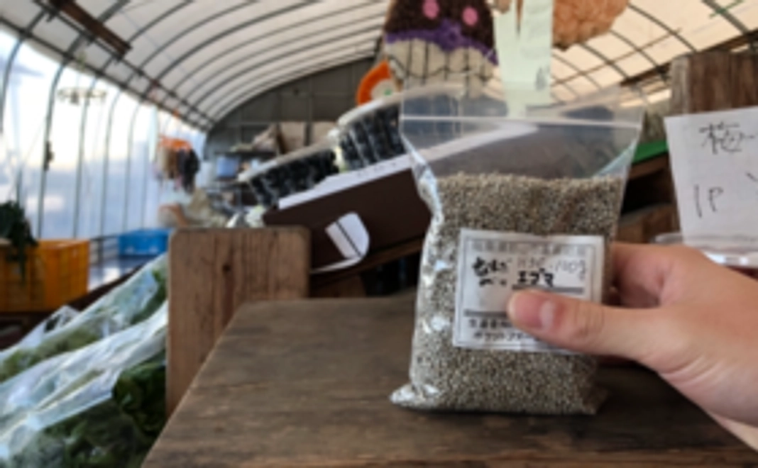 なんだべ村 グッズコース！①