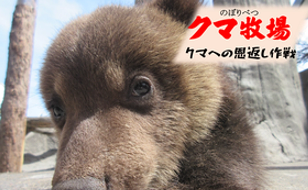 【豪華なリターンはご不要な方へ】3千円恩返しコース