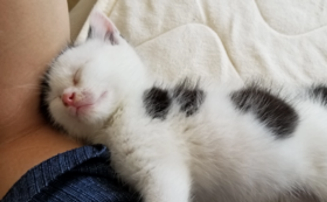 ¥5,000のリターン