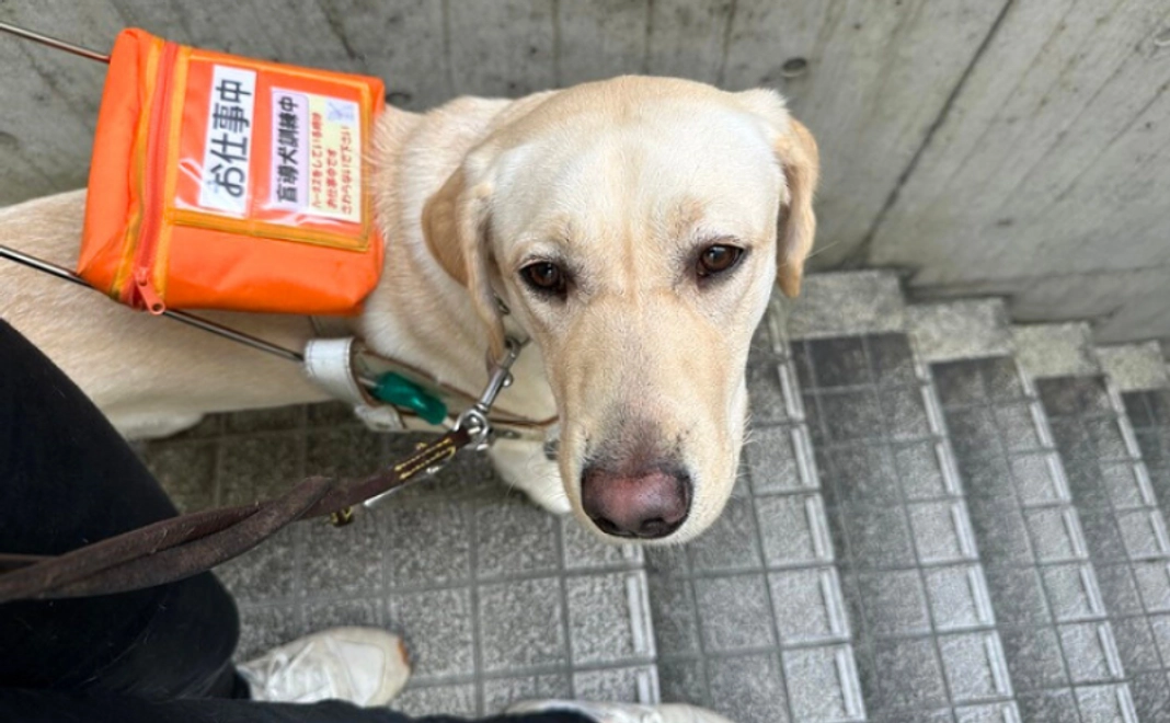 税額控除対象：3,000円コース