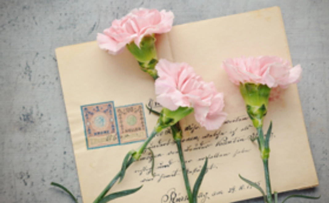 お礼のメールと取材内容をまとめたレポートをお送りします!