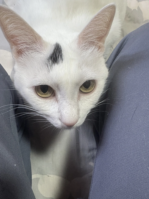 開始から1ヶ月経過