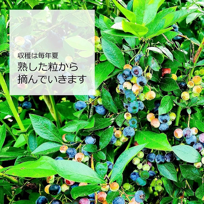 初めての支援いただきました！