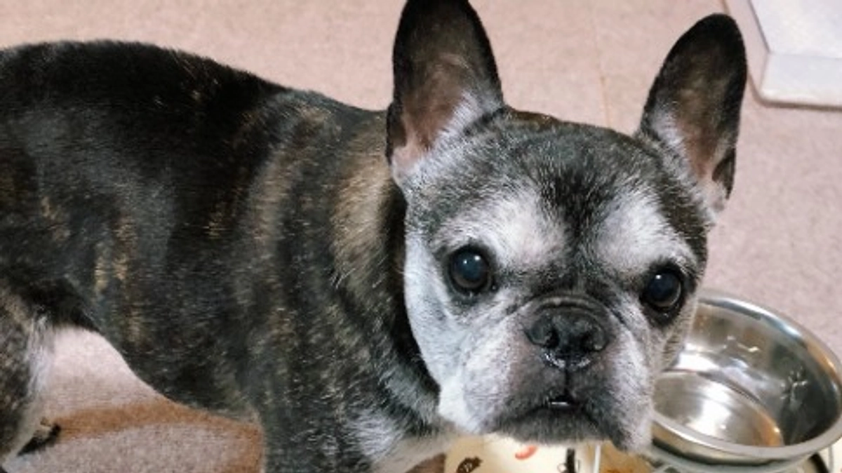 進捗の報告と抗がん剤治療1回目終了