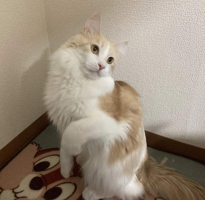 10/18ルイの様子