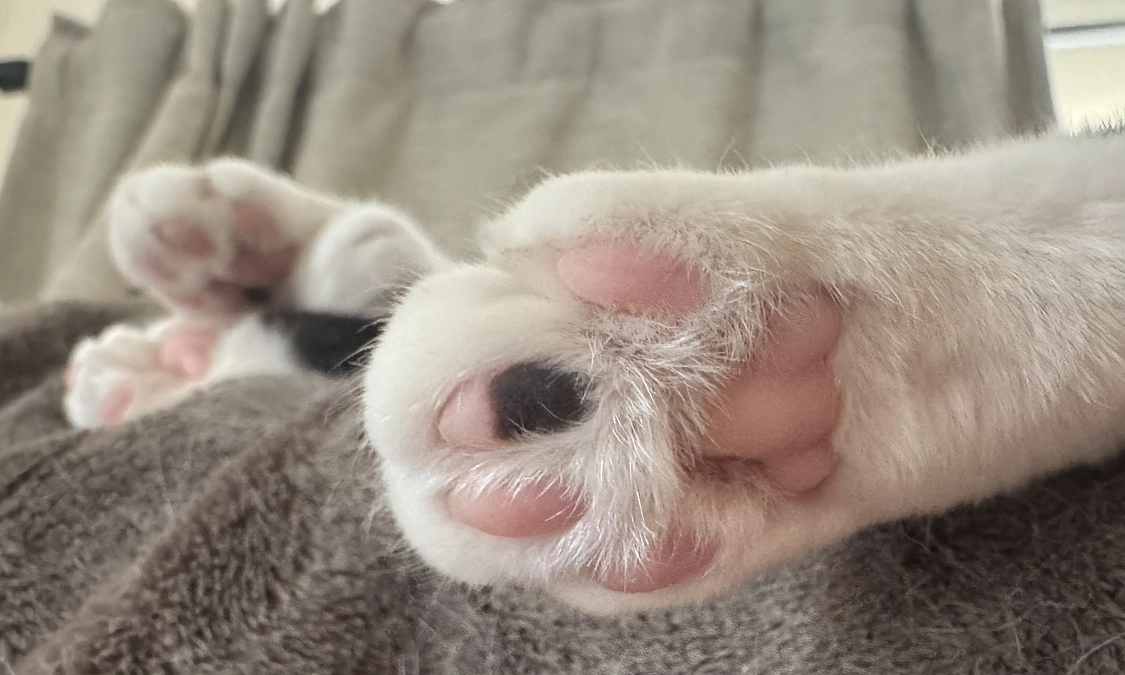 アテネ、ありがとう！