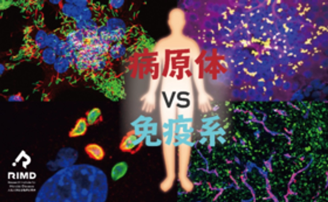 感染症学・免疫学のWEB虎の巻プロジェクトを応援