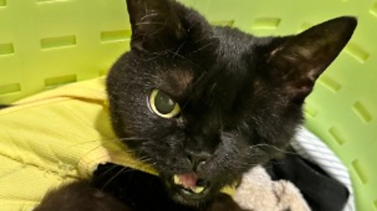 リターン対応完了のお知らせ