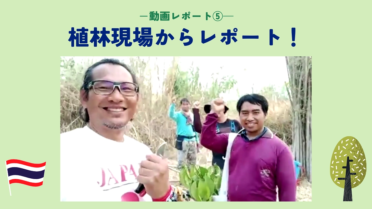 【動画レポート⑤】植林現場からレポート