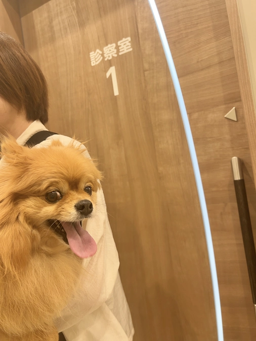 1ヶ月検診を受けました