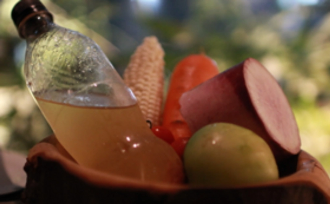 FONDゲストコース